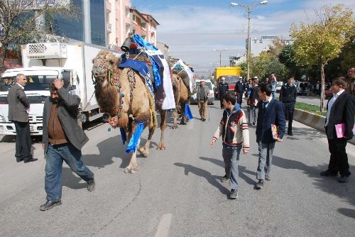 van asya ipek yolu kervani