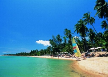 Japonya depreminin ardından tsunami tehlikesi olmayan tek ada: Samui