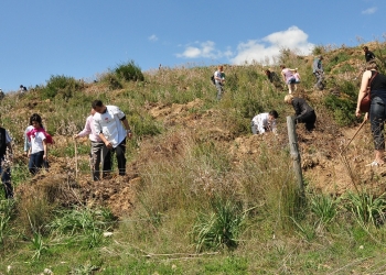 Limak Hotels’den Ağaç Dikim Kampanyası