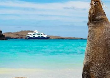 Lav Şaheserleri: Galapagos Adaları!