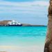 Lav Şaheserleri: Galapagos Adaları!