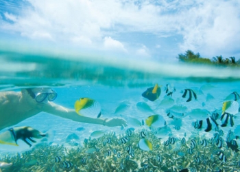 Mavinin sonsuzluğu; Maldivler Dalış Turları