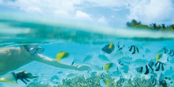 Mavinin sonsuzluğu; Maldivler Dalış Turları