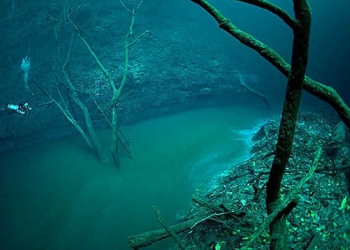Meksika’da okyanusun altında akan nehir büyülüyor