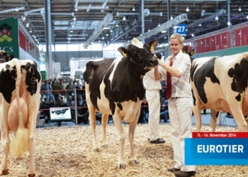 Hannover EuroTier 2014 için geri sayım başladı