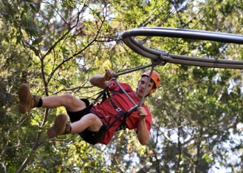 Avustralya’da heyecan dolu bir deneyim: TreeTop Crazy Rider (Video)