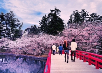 Sakura Dönemi Japonya sizi bekliyor