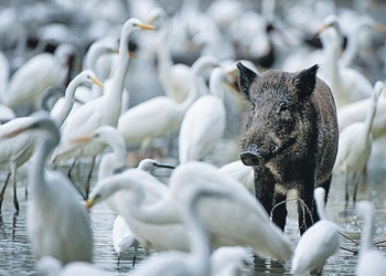 Sabırsızlıkla beklenen sergi Moskova’da açıldı