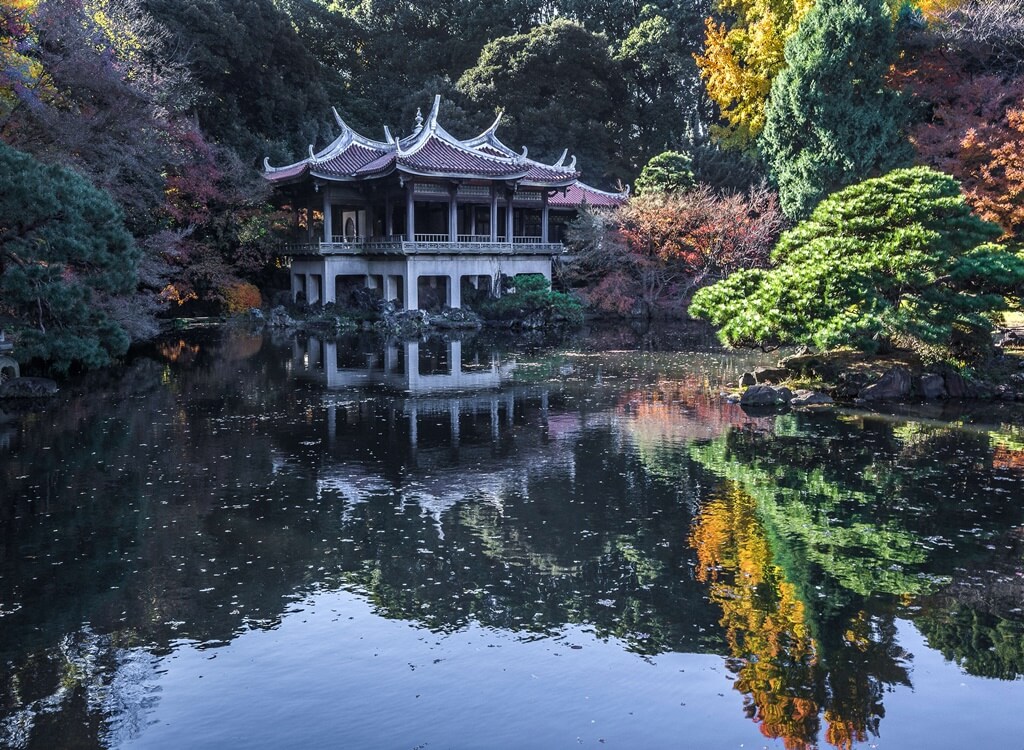 Tokyo'da Mutlaka Görülmesi Gereken Yerler 5 Shinjuku Parkı