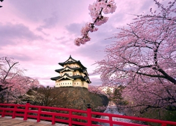 Şimdi Kiraz Çiçekleri Zamanı