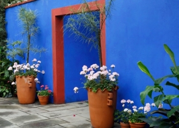 Frida Kahlo’nun “Mavi Evi” New York’ta