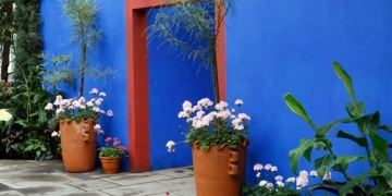 Frida Kahlo’nun “Mavi Evi” New York’ta