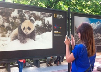 Moskova’da renkli panda sergisi