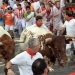 San Fermin Festivali boğa koşusu başladı 12 San Fermin Festivali boğa koşusu başladı