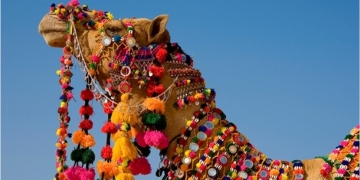 Fotoğraf makinalarını hazırlayın! Hindistan Pushkar Festivali yaklaşıyor