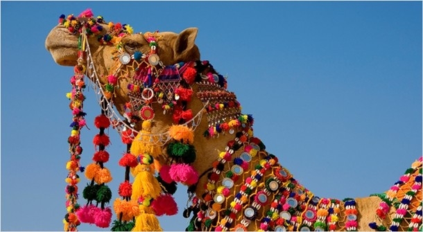 pushkar festival 610x3351