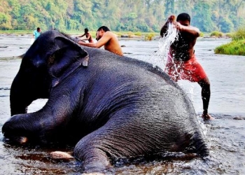 Fotoğraflarla Hindistan