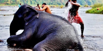 Fotoğraflarla Hindistan