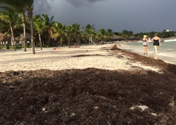 Meksika sahilleri artık daha temiz!