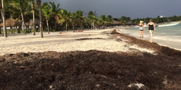 Meksika sahilleri artık daha temiz!