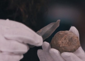 İrlanda insanlık tarihini değiştiren kemik!