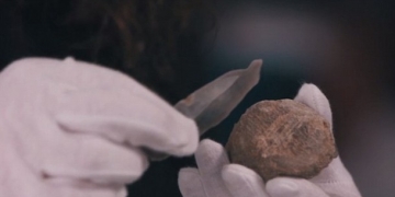 İrlanda insanlık tarihini değiştiren kemik!