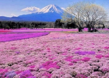 Hokkaido adasından turistlere çağrı: Lütfen sesli şekilde gaz çıkarmayın