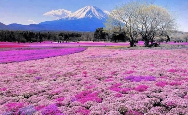 Hokkaido Japan 610x382 1