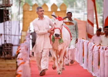 Sadece Hindistan’da görebileceğiniz bir etkinlik!