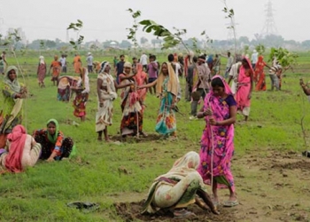 Hindistan’da ayakta alkışlanası bir rekor