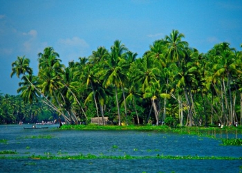 Hindistan Kerala turu için 5 neden