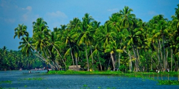 Hindistan Kerala turu için 5 neden