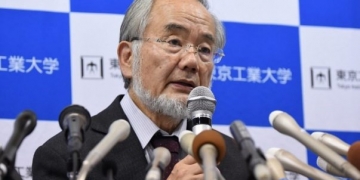 Nobel Tıp Ödülü Japonya’ya gitti