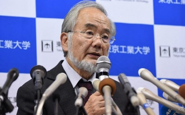 Yoshinori Ohsumi Nobel 603x400 1