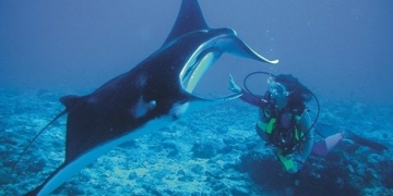 Dünyanın En İyi Dalış Resortu Belli oldu