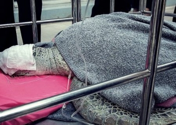 Tayland’da ilginç olay! Bozuk para atılan havuzda yaşayan deniz kaplumbağası şok etti