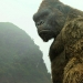 Vietnam'da King Kong Turizmi 12 king kong skull island vietnam