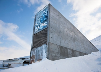 Kıyamet Kütüphanesi Norvec