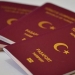 Vizesiz Seyahat İçin Üçüncü Kuşak Pasaport