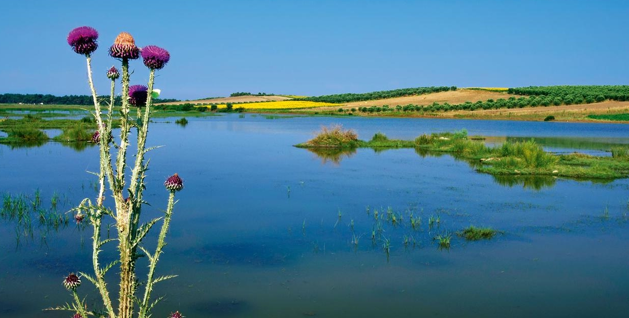 Halkidiki’de neler yapılır