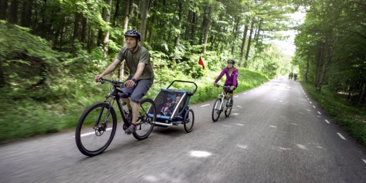 Thule Chariot Multisport Trailer