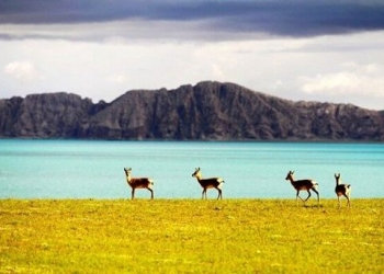 Çin’den 2 Dünya Mirası Adayı Daha!
