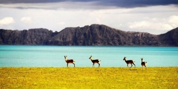 Çin’den 2 Dünya Mirası Adayı Daha!