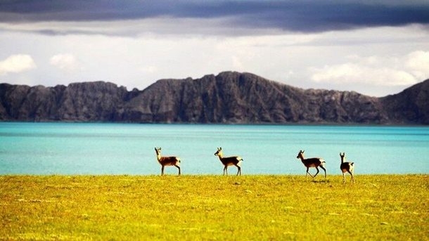 cin dunya miras listesi 610x343 1