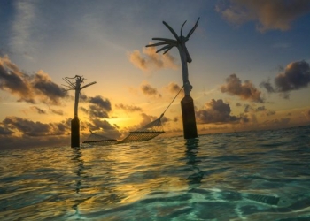 #MyConstanceMoment hashtag’ı hızla yayılıyor