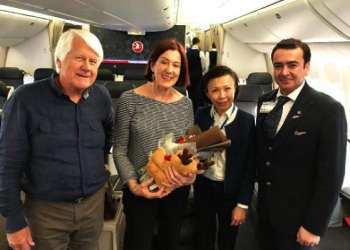 Hollandalı çifte THY’den 50. yıl sürprizi!