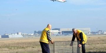 Atatürk Havalimanı’nda ‘Köpek Timi’ kuruldu!