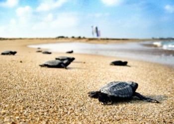 Alanya Kalesi, Patara ve Demre’de yapılaşmanın önü açıldı!