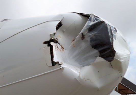 British Airwaysin yolcu uçağına havada kaz çarptı 533x400 1
