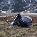 Utah'ta geyiğin çarptığı helikopter düştü! 12 Utah’ta geyiğin çarptığı helikopter düştü!